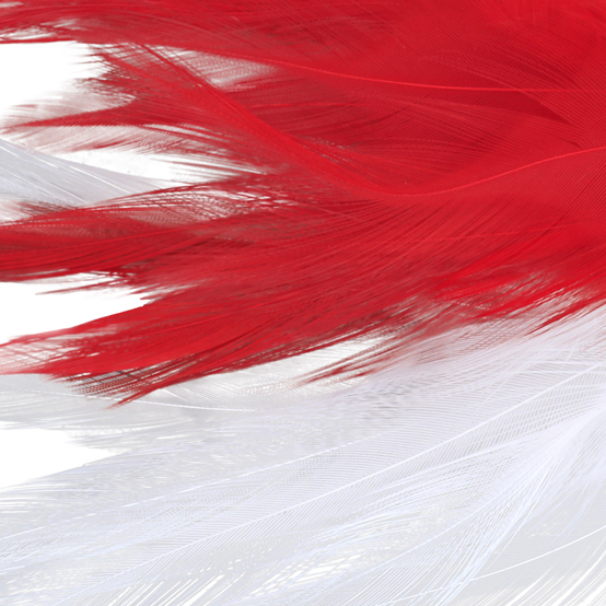 No Alibi, Trolling Feather Lure, White/Red Skirt, 6 oz / 170 g Head - Image 3