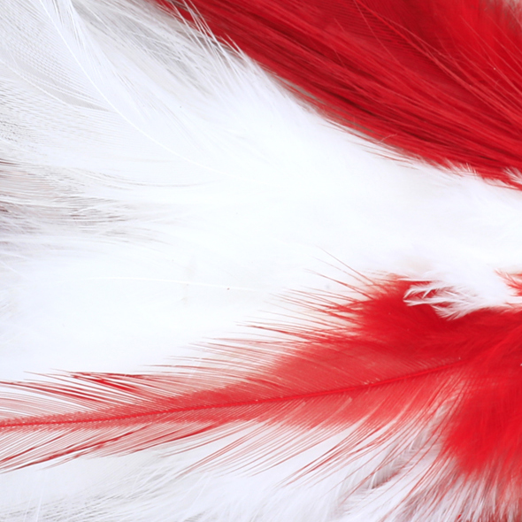 No Alibi,Trolling Feather Rigged & Ready, White/Red Skirt, 1 oz / 28.3 g, 7/0 Mustad Hook, AFW Swivel, 100 lb / 45.3 kg Grand Slam Mono Line, 6 ft / 1.8 m - Image 3