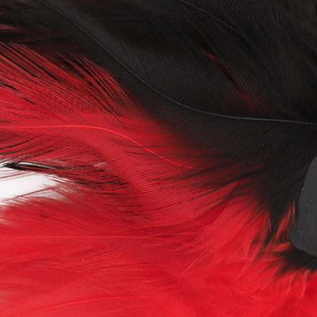 No Alibi,Trolling Feather Rigged & Ready, Black/Red Skirt, 1/2 oz / 14.1 g Head, 7/0 Mustad Hook, AFW Swivel, 100 lb / 45.3 kg Grand Slam Mono Line, 6 ft / 1.8 m - Image 3