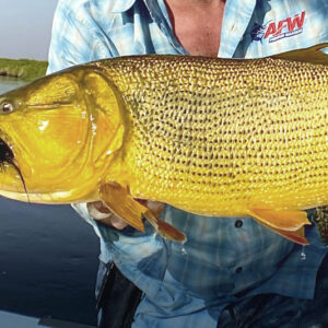 Single-Strand Leader Wire