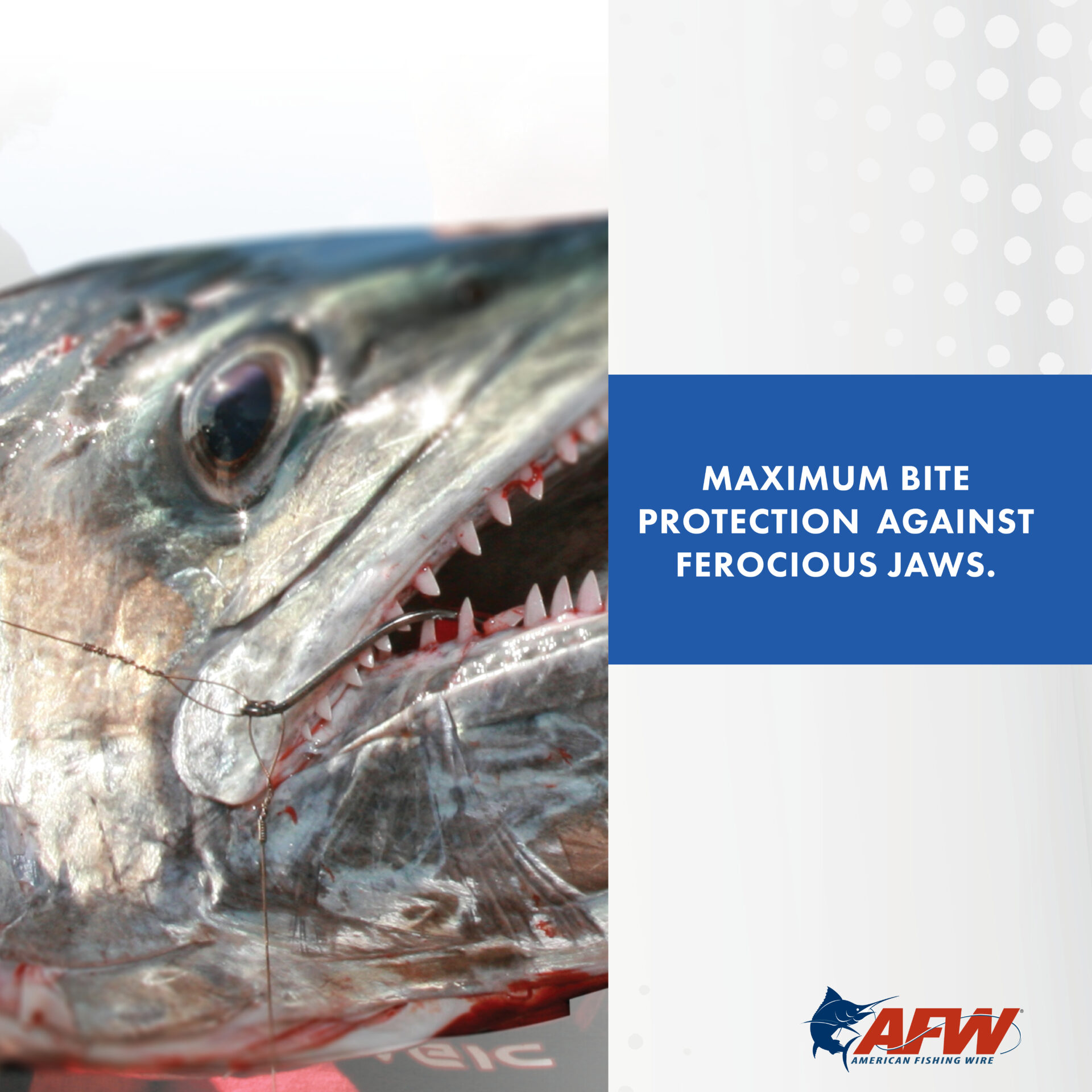 Titanium Tooth Proof Leaders - Image 5